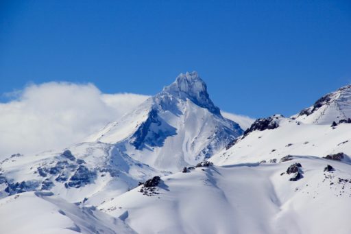 Contact Antarctic Research Group