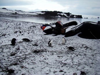 escudero-2011-antartic-research-group - 20