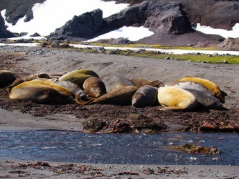 escudero-2011-antartic-research-group - 3