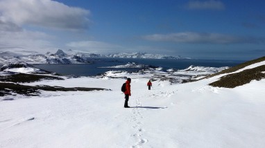 Escudero-2015-antartic-research-group - 27